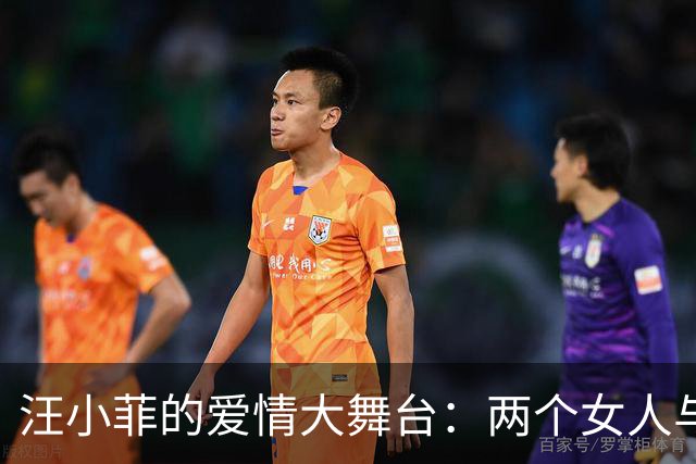 汪小菲的爱情大舞台：两个女人与各自的孩子